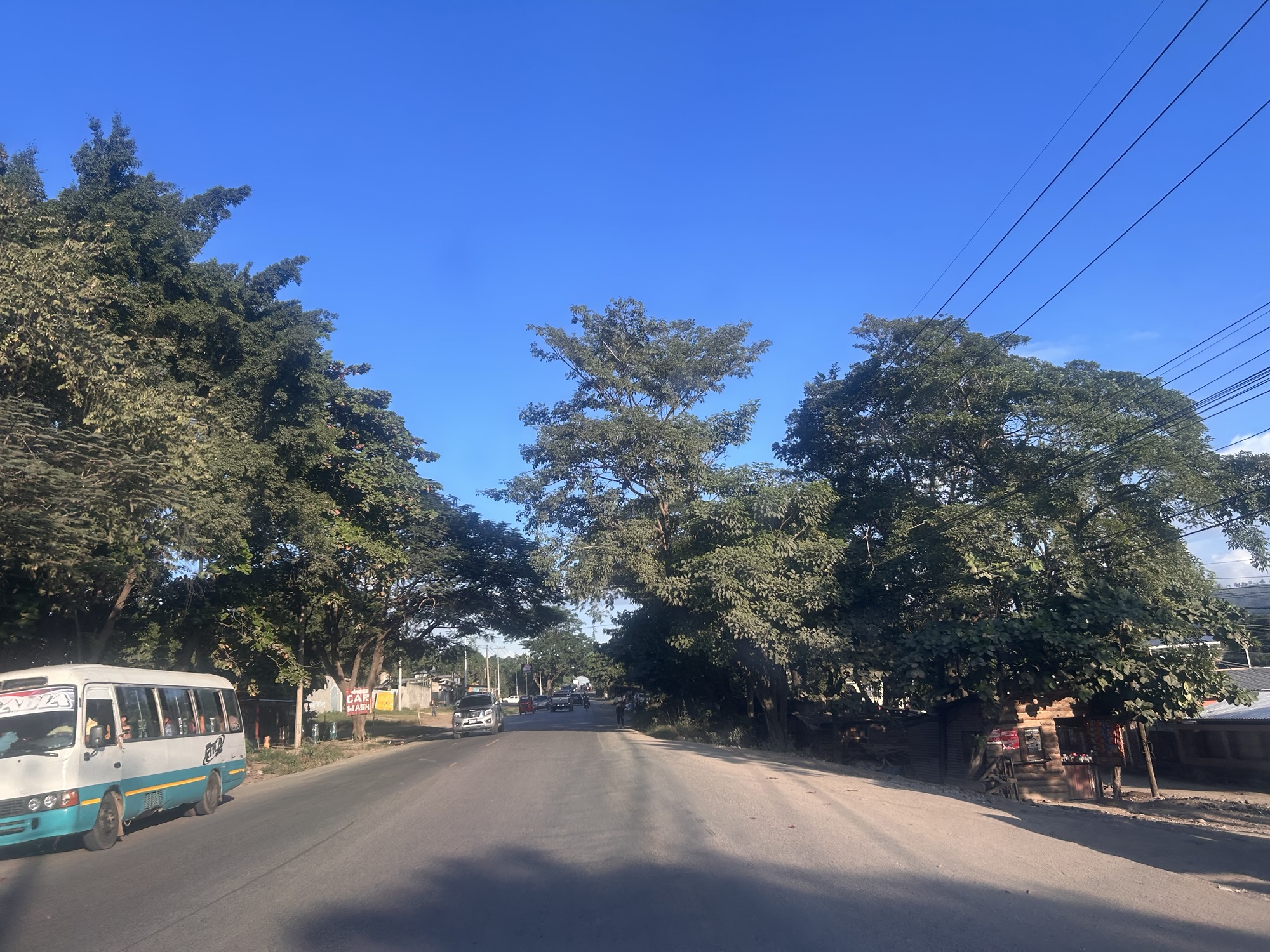 Elecciones y crimen organizado